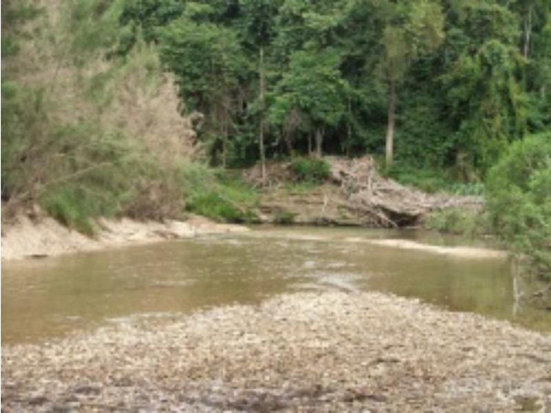 3901 Taylors Arm  Rd, Burrapine NSW 2447