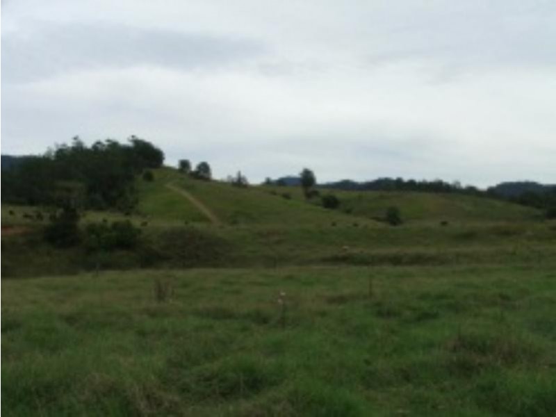 3901 Taylors Arm  Rd, Burrapine NSW 2447