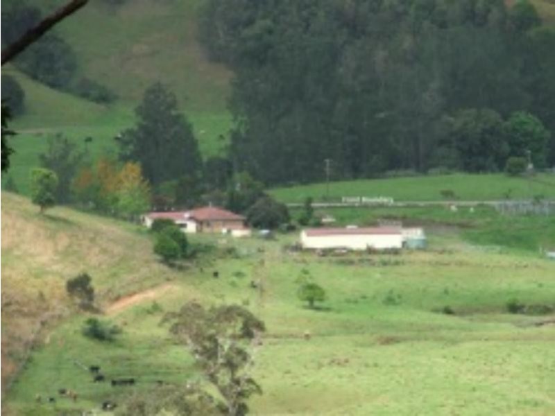 3901 Taylors Arm  Rd, Burrapine NSW 2447