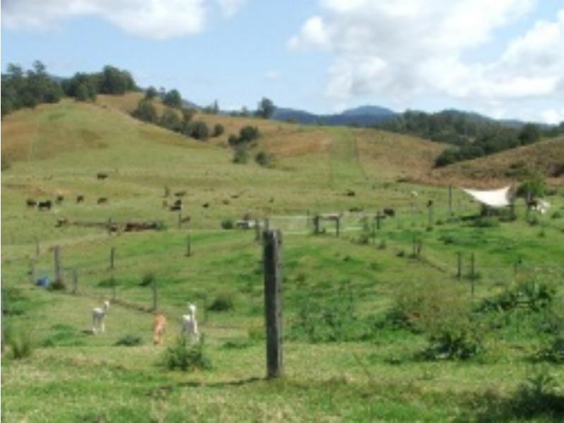 3901 Taylors Arm  Rd, Burrapine NSW 2447