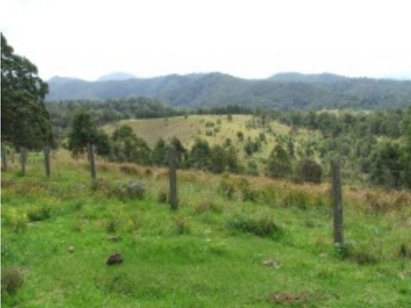 3901 Taylors Arm  Rd, Burrapine NSW 2447