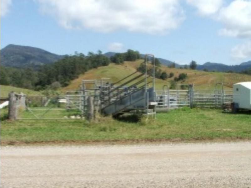 3901 Taylors Arm  Rd, Burrapine NSW 2447