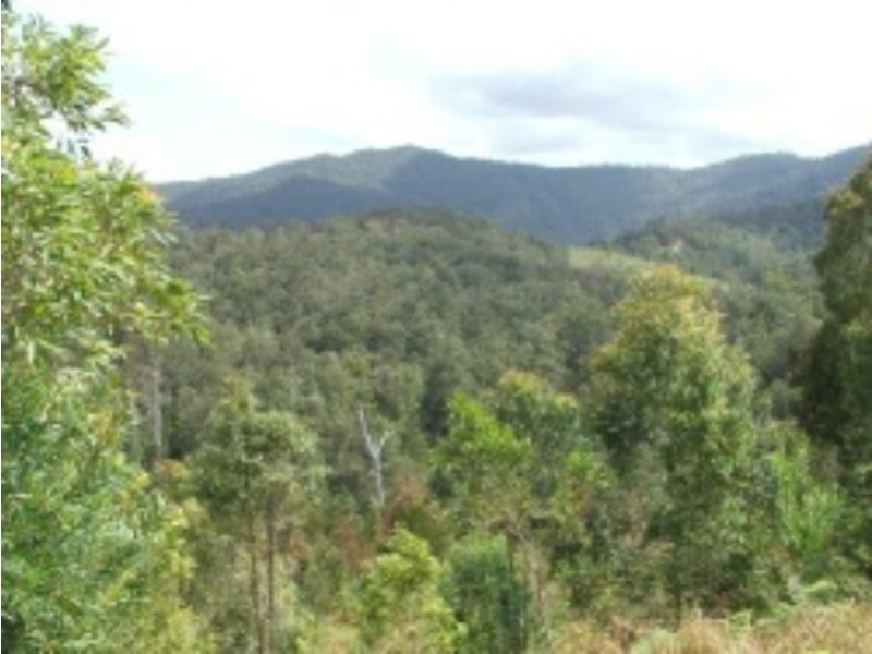 3901 Taylors Arm  Rd, Burrapine NSW 2447