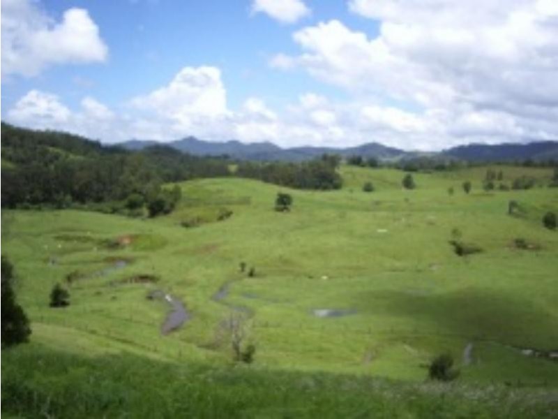 3901 Taylors Arm  Rd, Burrapine NSW 2447