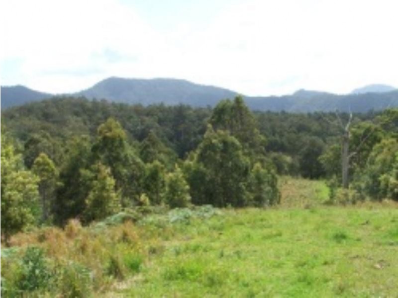 3901 Taylors Arm  Rd, Burrapine NSW 2447