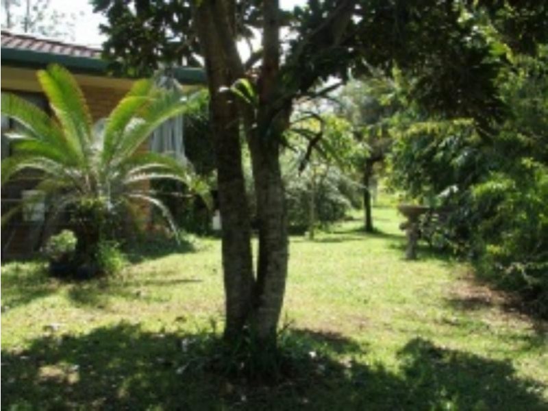 3901 Taylors Arm  Rd, Burrapine NSW 2447