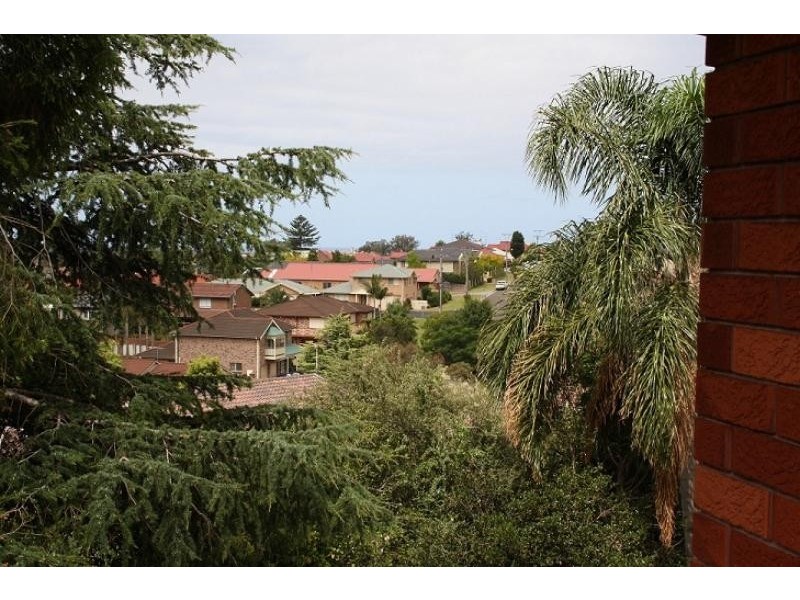 1/17 Ian Bruce Cres, Balgownie NSW 2519