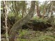 Picton NSW 2571