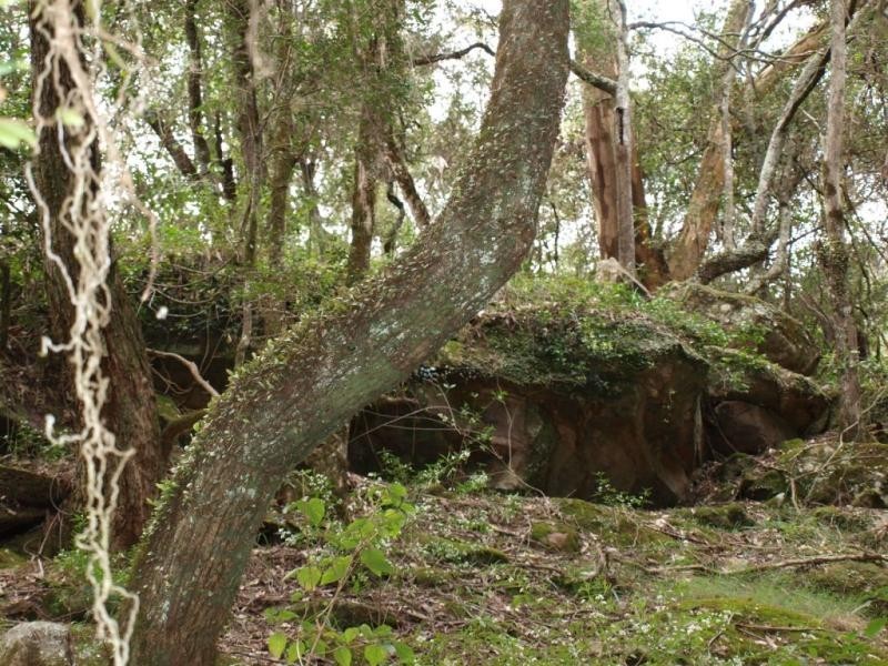 Picton NSW 2571