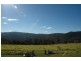 116 Mollydale Rd, Tyringham NSW 2453