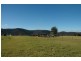 116 Mollydale Rd, Tyringham NSW 2453