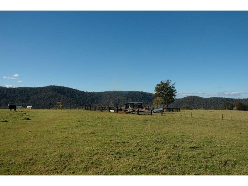 116 Mollydale Rd, Tyringham NSW 2453