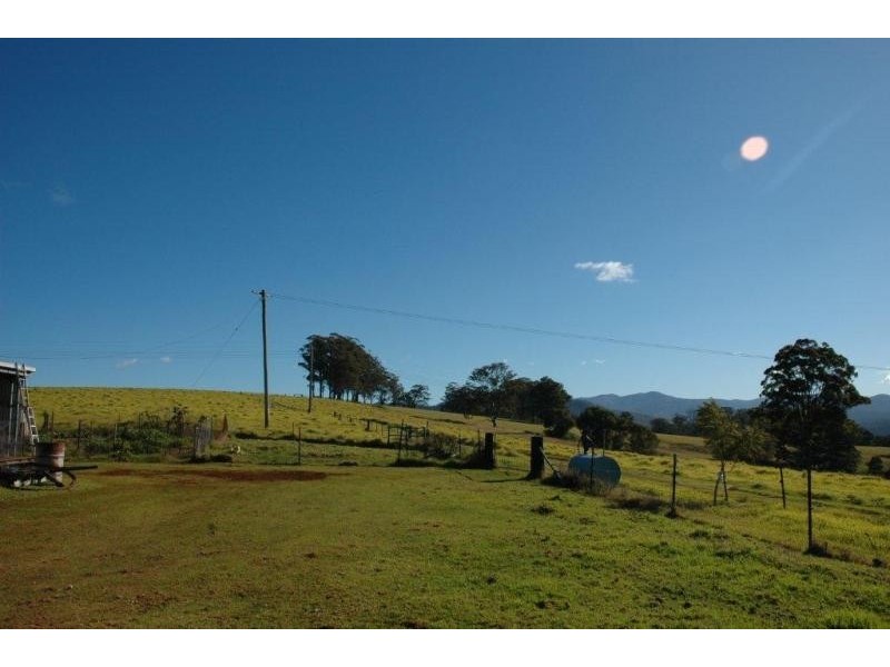 116 Mollydale Rd, Tyringham NSW 2453