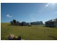 116 Mollydale Rd, Tyringham NSW 2453