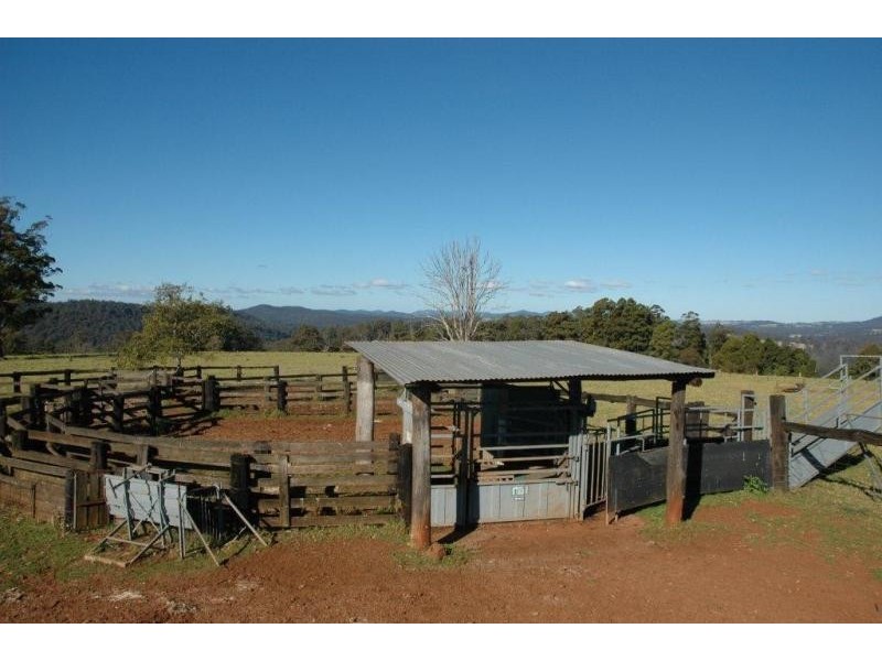 116 Mollydale Rd, Tyringham NSW 2453