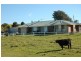 116 Mollydale Rd, Tyringham NSW 2453