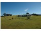 116 Mollydale Rd, Tyringham NSW 2453