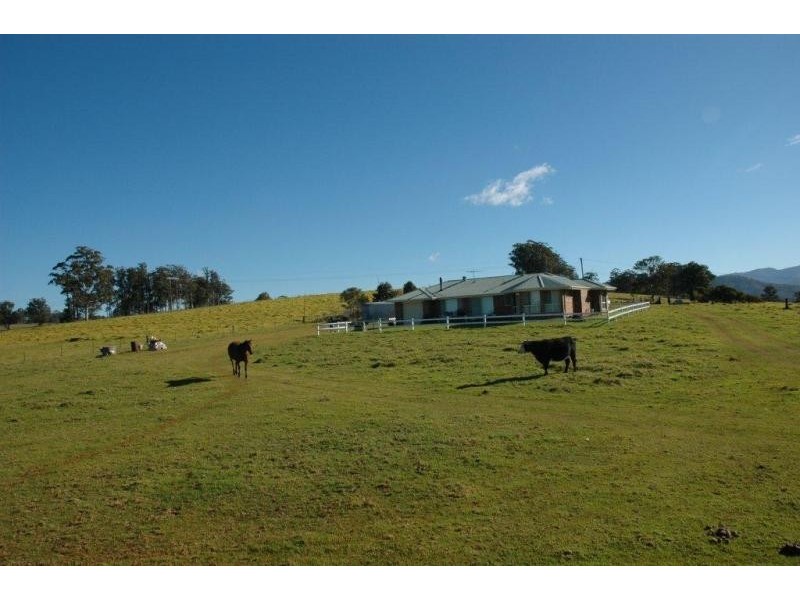 116 Mollydale Rd, Tyringham NSW 2453