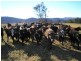 116 Mollydale Rd, Tyringham NSW 2453