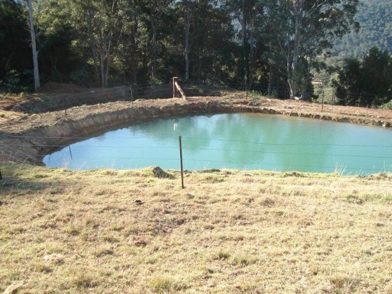 116 Mollydale Rd, Tyringham NSW 2453
