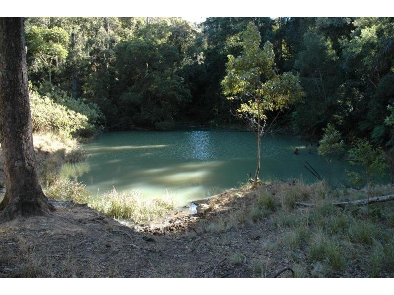 116 Mollydale Rd, Tyringham NSW 2453