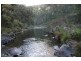 116 Mollydale Rd, Tyringham NSW 2453