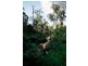 4 Green Pl, Eltham VIC 3095
