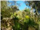 Little Wobby NSW 2256