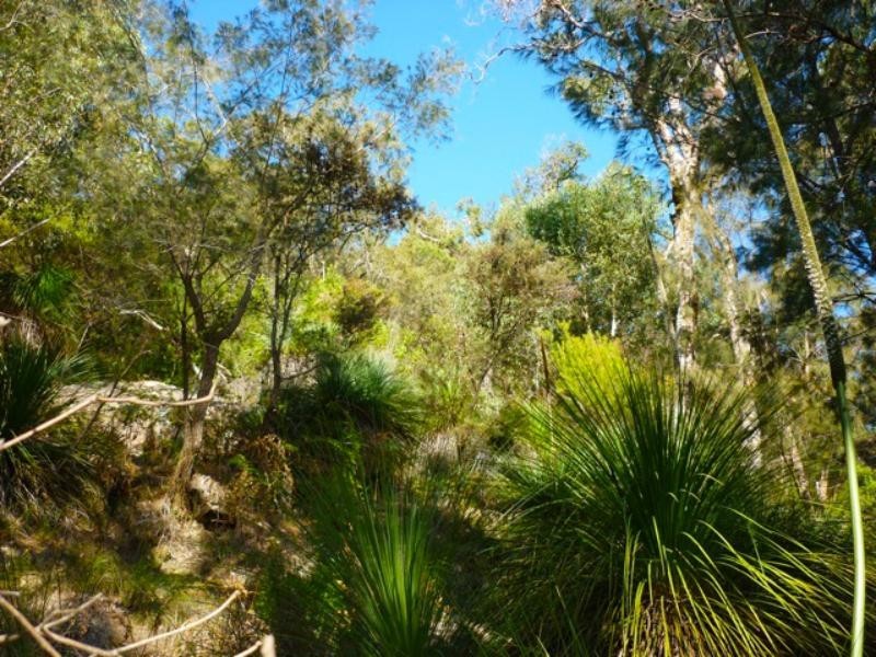 Little Wobby NSW 2256