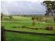 240 Moorrabee Rd, Knowsley VIC 3523
