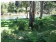 146 Upper Orara  Rd, Karangi NSW 2450