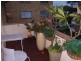 14/15 Stuart St, Manly NSW 2095