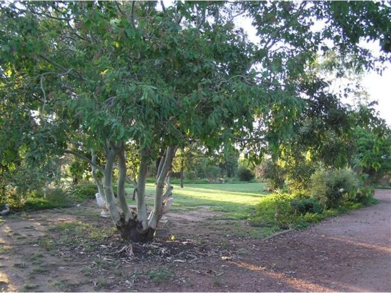 Lot 22 Nelli Vale Rd, Narromine NSW 2821