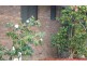 Forrestfield WA 6058