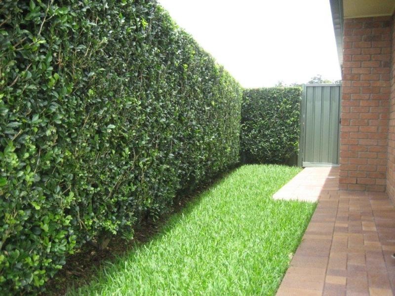 4 Forest Oak Dr, Upper Coomera QLD 4209