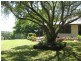 1494 Bangalow Rd, Clunes NSW 2480