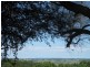 1494 Bangalow Rd, Clunes NSW 2480