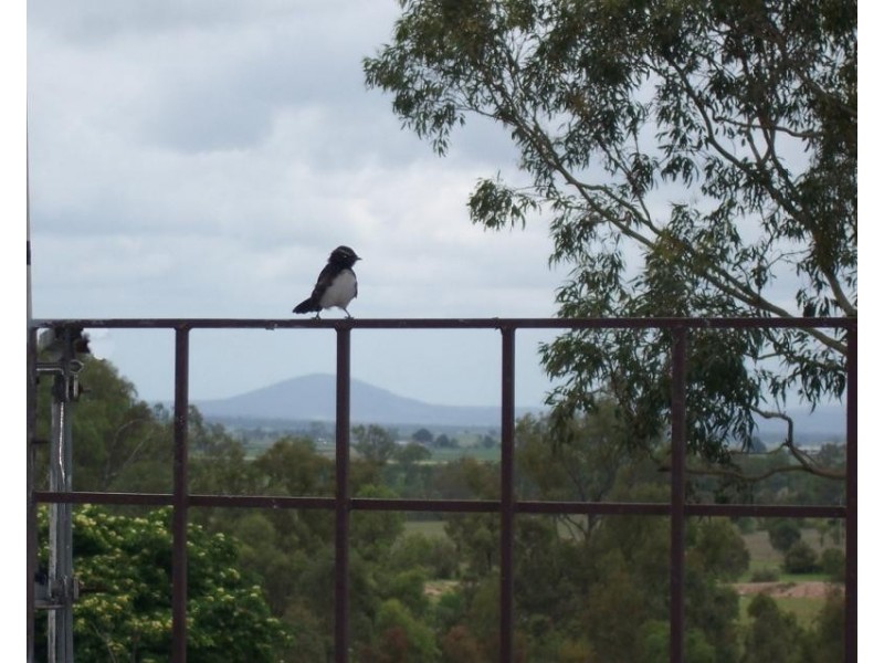 Regency Downs QLD 4341