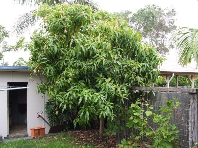 Croydon Park NSW 2133