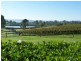 27 The Grange -, Picton NSW 2571