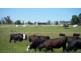 165 Sanders Rd, Garfield North VIC 3814
