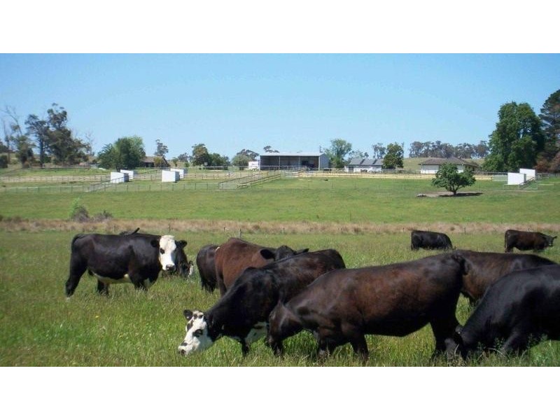 165 Sanders Rd, Garfield North VIC 3814