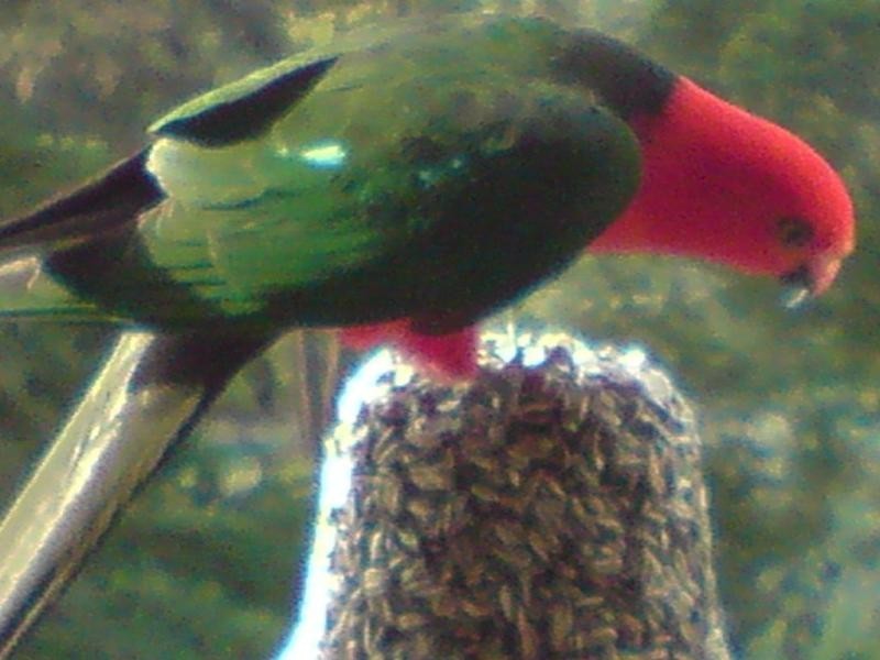 27 Walbundry Ave, Ferntree Gully VIC 3156