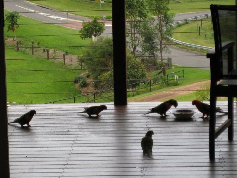 3 Diane Dr, Dayboro QLD 4521