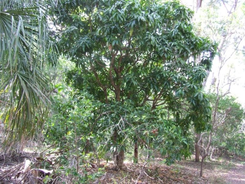 Lot 3 Round Hill Rd, Agnes Water QLD 4677