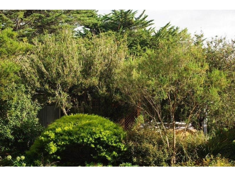 501 Backriver Rd, Magra TAS 7140