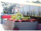 25 Juncea  Cl, Charlestown NSW 2290