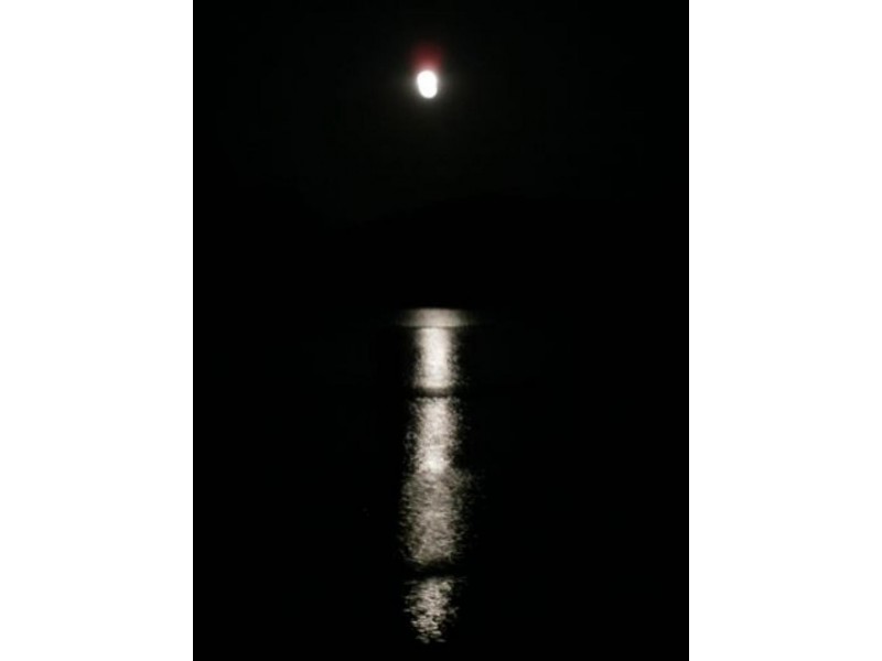 26 Stroud St, Allworth NSW 2425