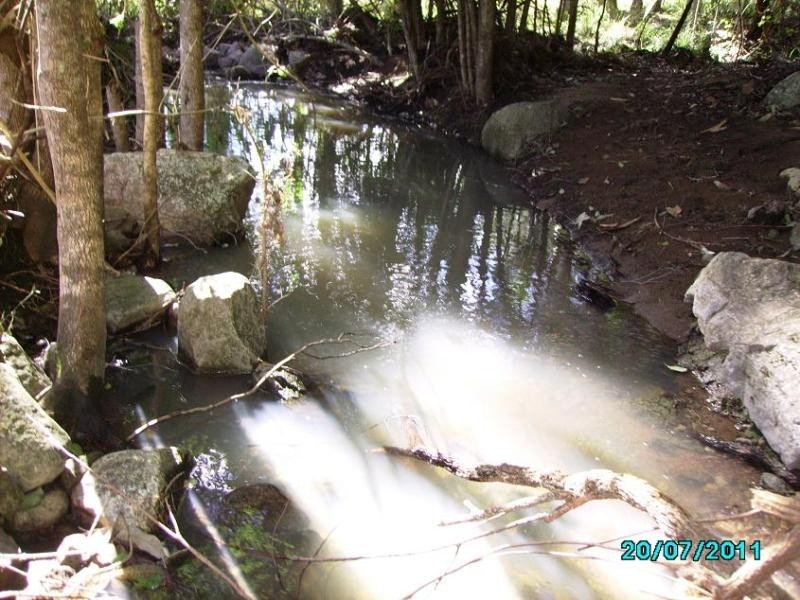 579 Gloucester Tops Rd, Berrico NSW 2422