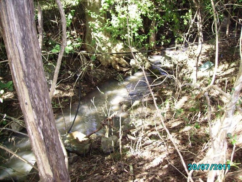 579 Gloucester Tops Rd, Berrico NSW 2422